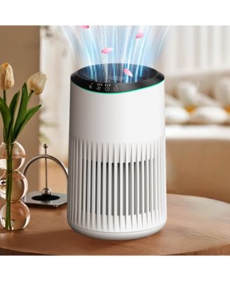 HEPA Air Purifier for Bedroom Home, With Essential Oil Diffuser, Sleep Mode, Up to 225 Sqft