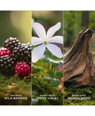 2-Pc. Daisy Eau De Toilette Spray Gift Set