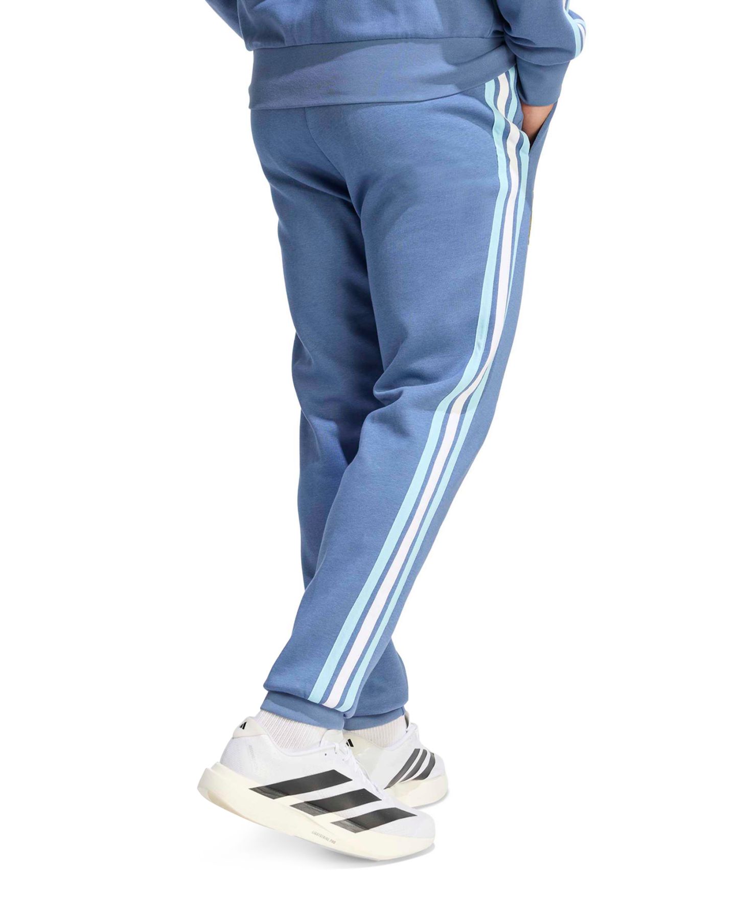 Мужские брюки adidas Argentina DNA Fleece, цвет: Синий — фото 3