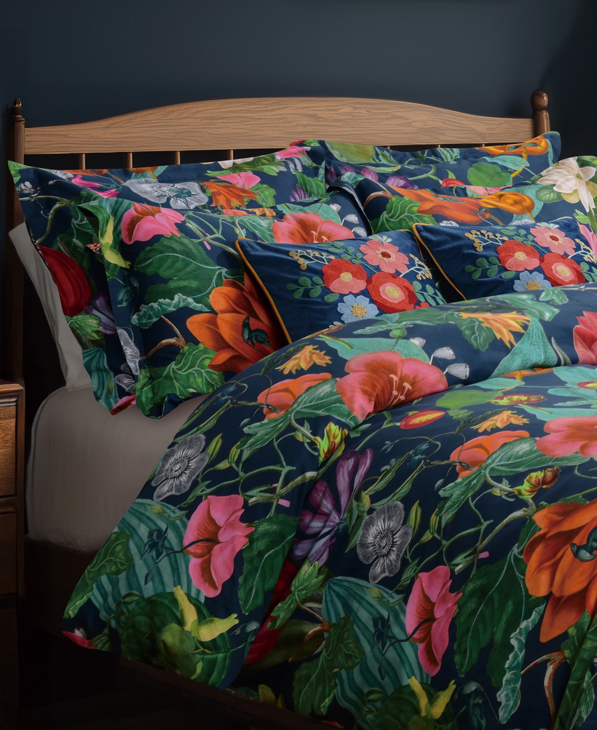 Levtex Home Bellara Cotton 2-Pc. Sham Set, European