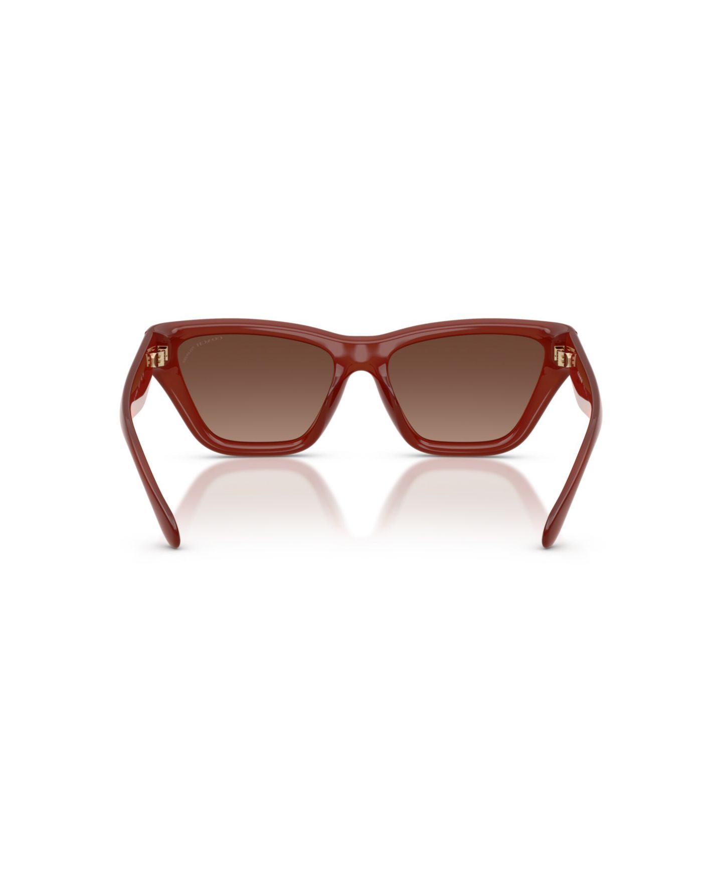 Женские солнцезащитные очки COACH Cat Eye Polarized Sunglasses, CDP33 HC8449U, цвет: Ореховый — фото 4