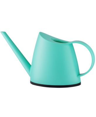 Small Watering Can with Long Slim Spout for Indoor Plants, 47oz