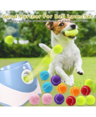 Pack of 20 Small Tennis Balls 2 Inch Size for Dogs Colorful Pet Playing Balls with Mesh Bag for Easy Transport and Interactive Play