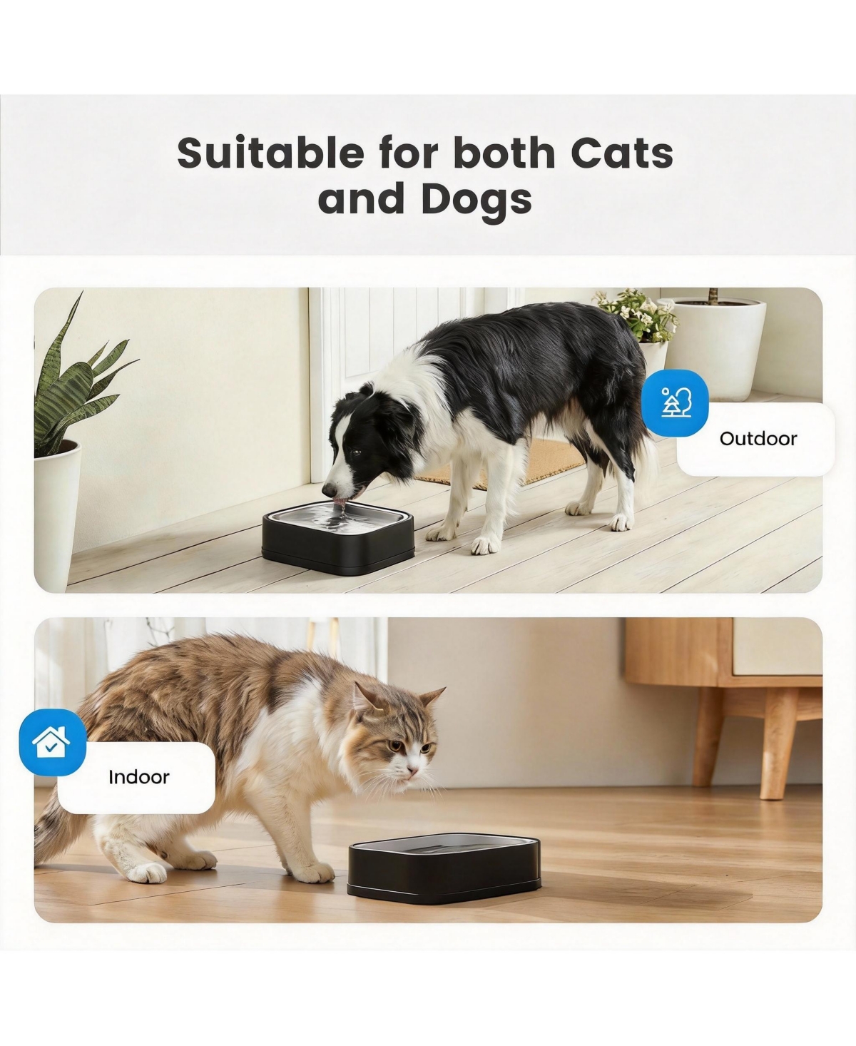 Automatic Gravity-Fed Pet Water Dispenser with Maifan Stone Filter