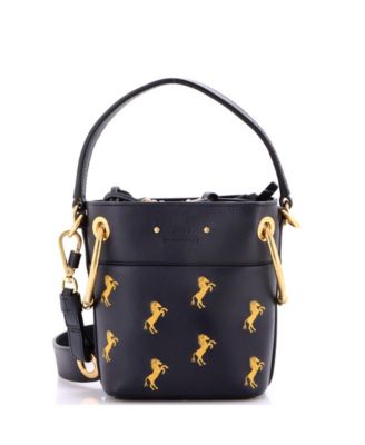 Mini Roy Bucket Bag Embroidered Leather