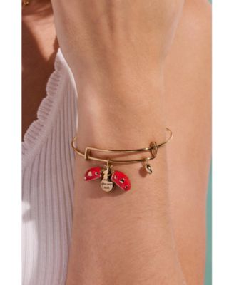 Make Your Own Luck' Ladybug Charm Bangle