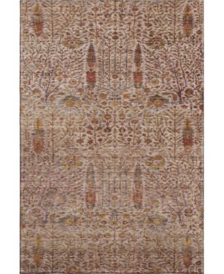 Mayfield AMF2053 10'x14' Area Rug