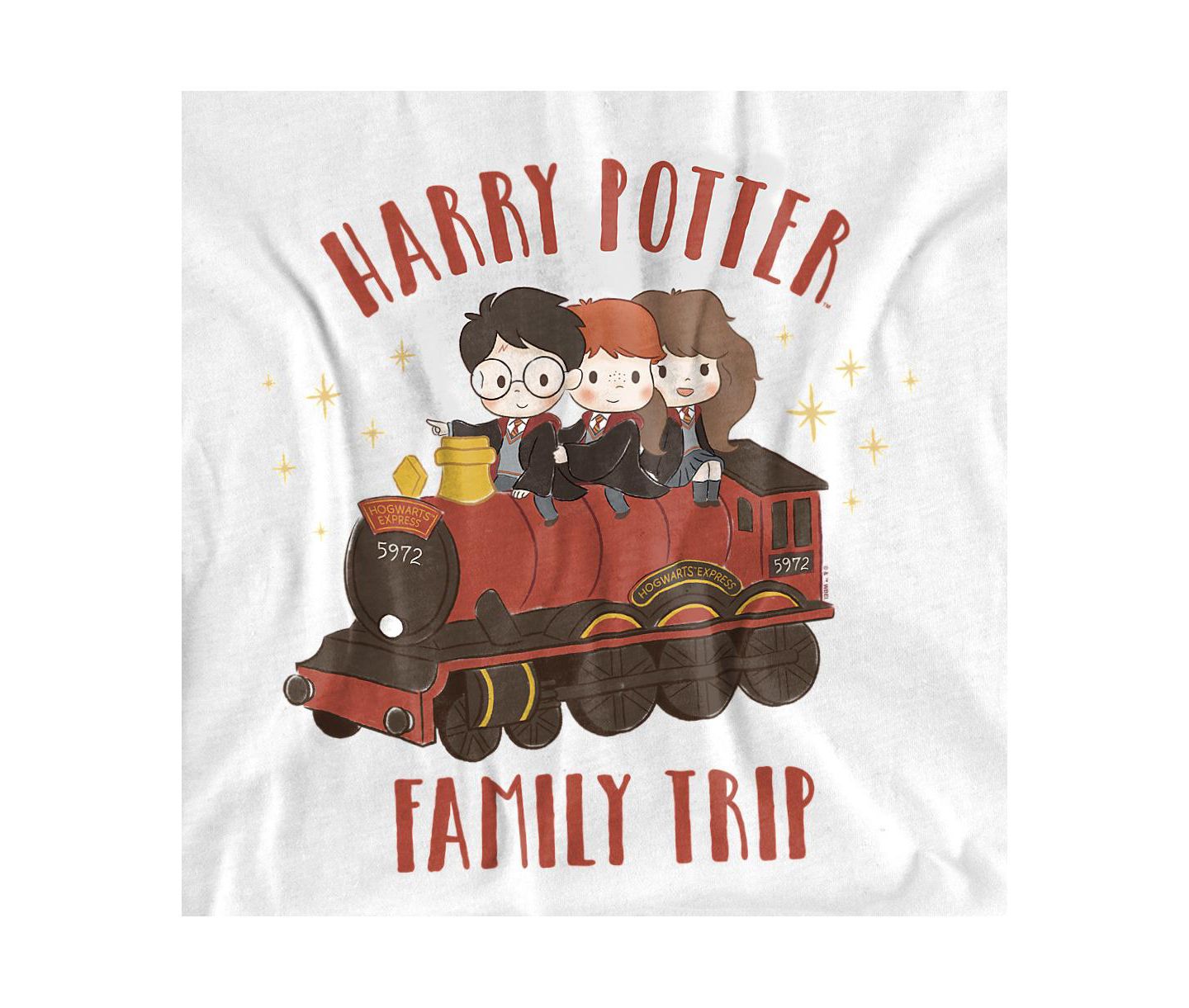 Мужская футболка Harry Potter Family Trip Hogwarts Express, цвет: Белый — фото 2