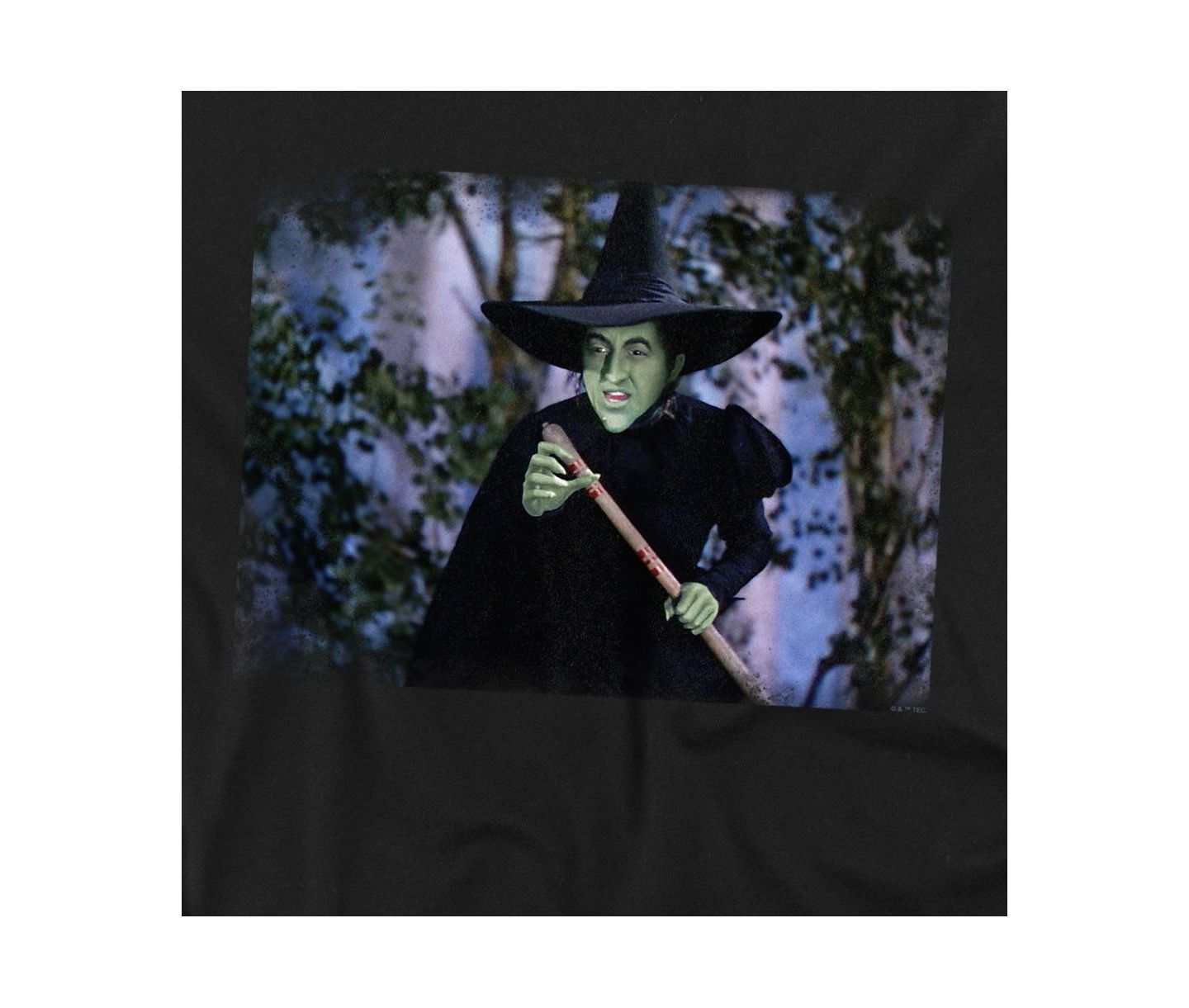 Мужская футболка Wizard Of Oz The Wicked Witch Plotting, цвет: Чёрный — фото 3