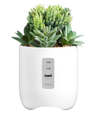 Power Plant Faux Succulent USB Charging Station