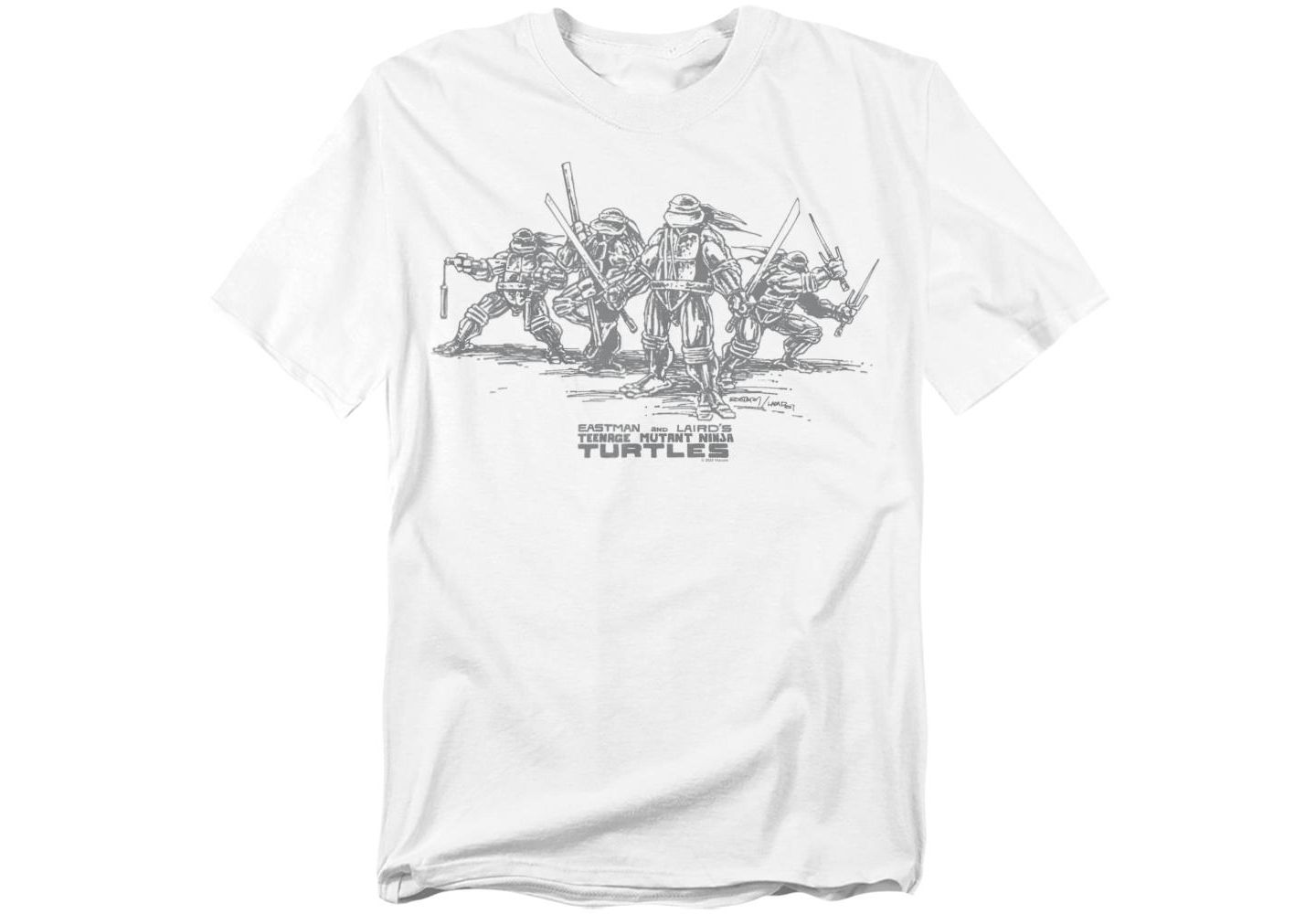 Мужская футболка Teenage Mutant Ninja Turtles Tonal Group, цвет: Белый — фото 1