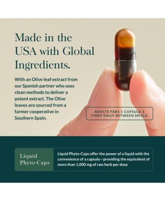 Olive Leaf - Traditional Immune Health Support - Olive Leaf Extract & Oleuropein - 120 Liquid Phyto-Caps (120 Servings)