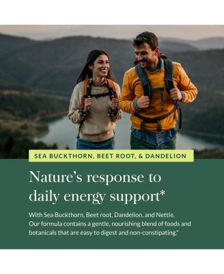 Plant Force Liquid Iron - Vegetarian Iron Supplement to Help Maintain Healthy Iron & Energy Levels - 8.5 Fl Oz (25 Servings)