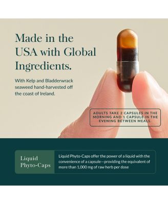 Thyroid Support - Made with Ashwagandha Support Healthy Metabolic Balance & Overall Well-Being - 60 Liquid Phyto-Caps (30 Servings)