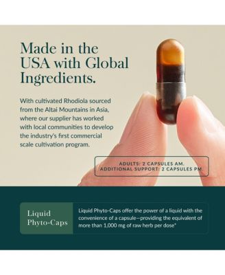 Adrenal Health Daily Support - Herbal Supplement - Maintain Healthy Energy & Stress Levels - 120 Liquid Phyto-Caps (60 Servings)