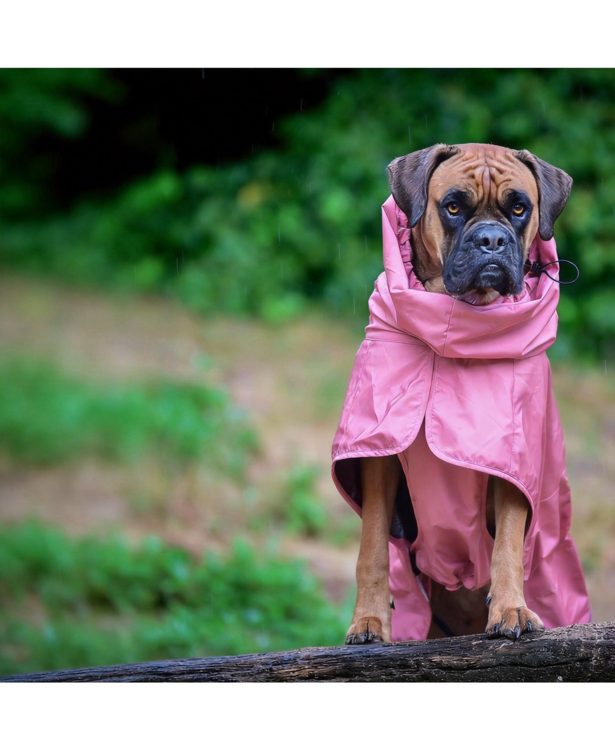 Aronkl Dog Raincoat - Waterproof, Windproof, Reflective, Breathable