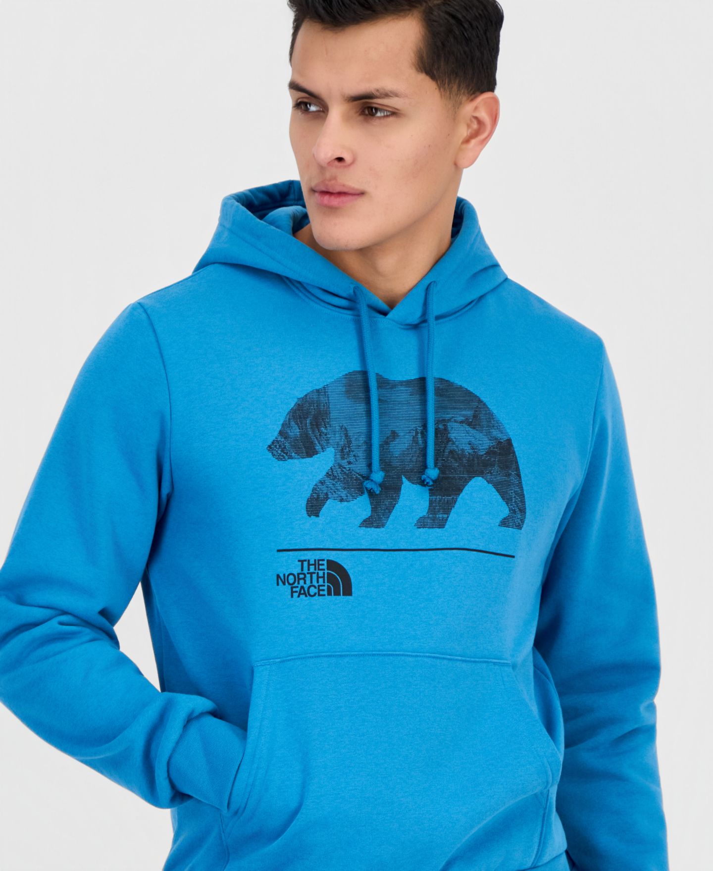 Мужское худи The North Face Evolution Mountain Bear, цвет: Стальной — фото 3