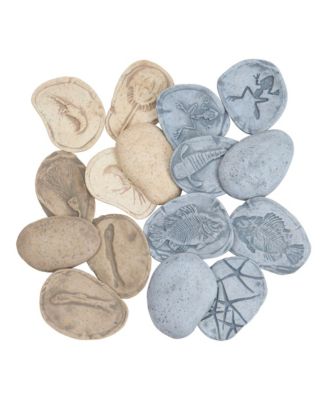 Magnetic Matching Aquatic Life Fossil Stones - Set of 8