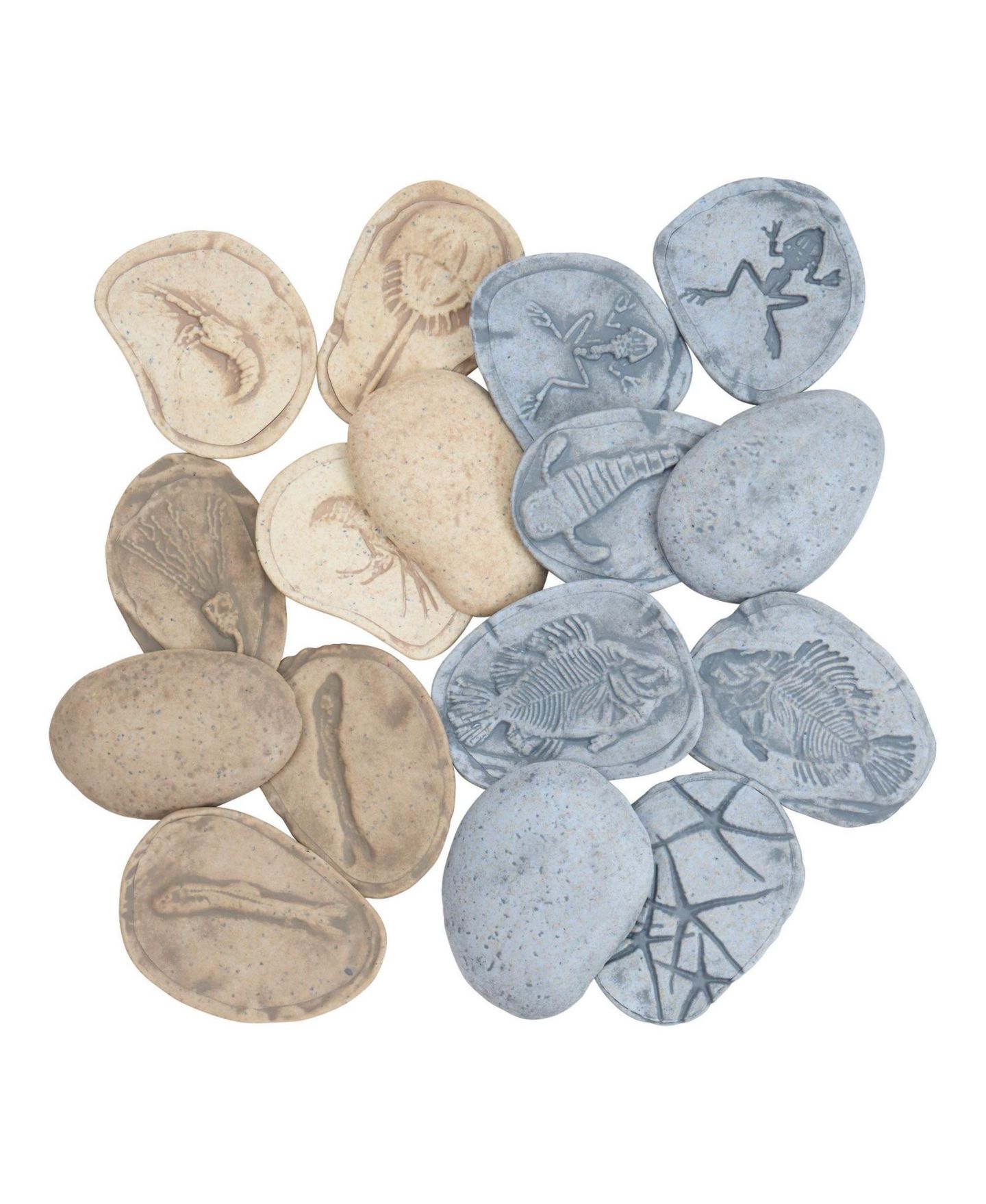 Детские игрушки Kaplan Early Learning Magnetic Matching Aquatic Life Fossil Stones 8-Piece Set, Ages 2+, цвет: Серый — фото 5