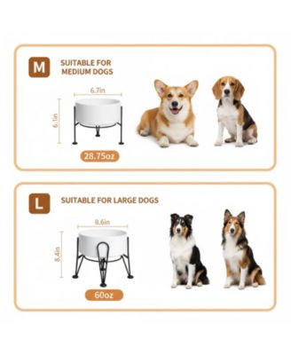 Elevated Dog Ceramic Bowl Set 2 Pack with Anti-slip Non-tip Metal Stand for Dogs Food Water Feeding