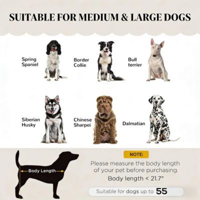 Velvet Dog Sofa, Pet Couch with Wooden Legs, Large Pet Bed for Medium and Large Dogs