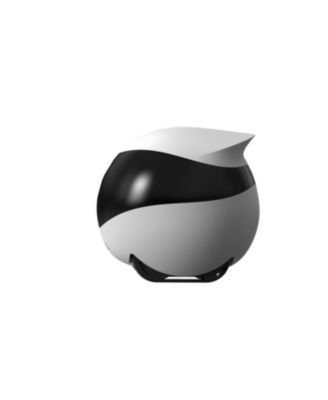 EBO SE FamilyBot Home Camera Robot