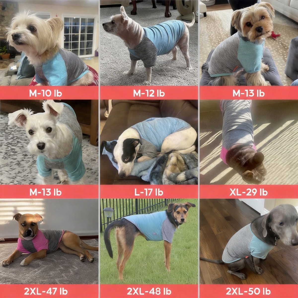 Aronkl 2-Pack Lightweight Athletic Dog T-Shirt with Reflective Label for Outdoor Use