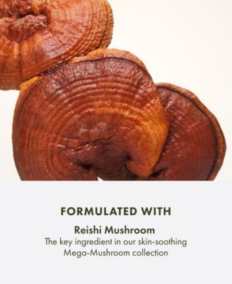 Dr. Andrew Weil for Origins™ Mega-Mushroom Skin Relief Micellar Cleanser, 6.7 oz.