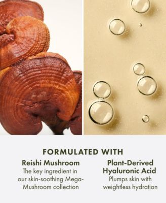 Mega-Mushroom Soothing Hydra-Mist With Reishi & Snow Mushroom