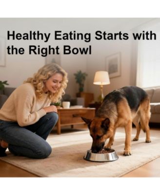 304 Stainless Steel Slow Feeder Dog Bowl 2.5 Cups Non-Slip Raised Design for Medium Large Dogs