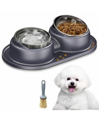 Elevated Stainless Steel Tilted Anti Vomiting Non Spill Cat And Dog Bowls with Mat