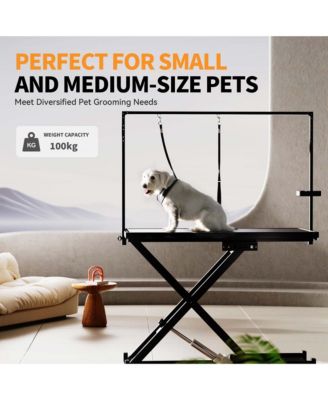  50" Black Professional Electric Dog Grooming Table Height Adjustable with Arm and Tool Organizer