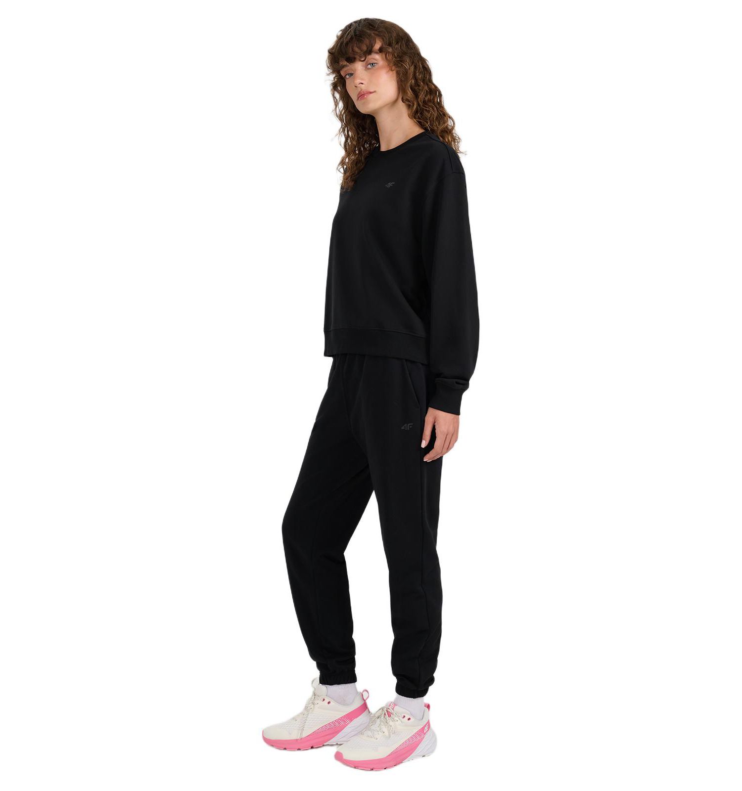 Women's Pullover Basic Sweatshirt Without Hood
