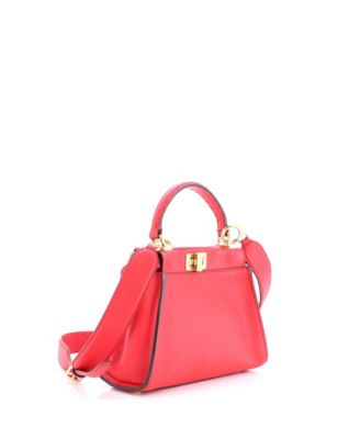 Mini Peekaboo Bag Leather with Zucca Suede Interior