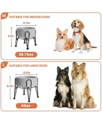 Elevated Dog Ceramic Bowl Set 2 Pack with Anti-slip Non-tip Metal Stand for Dogs Food Water Feeding
