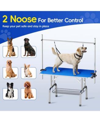  46" Blue Large Heavy Duty Pet Grooming Table for Dogs and Cats with Adjustable Arm