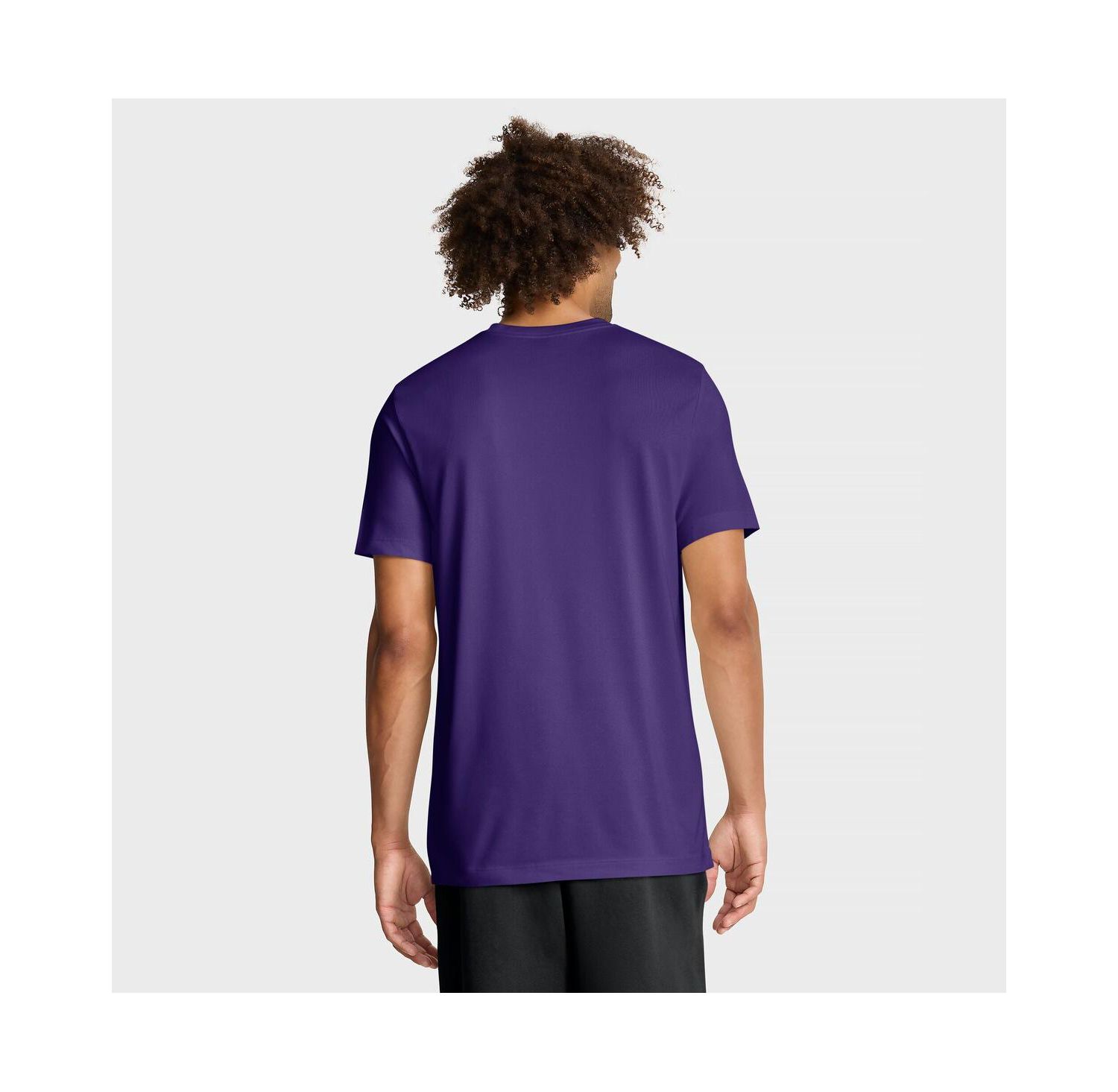 Men's Purple LSU Tigers Primetime Baseball Icon Legend Dri-FIT T-Shirt