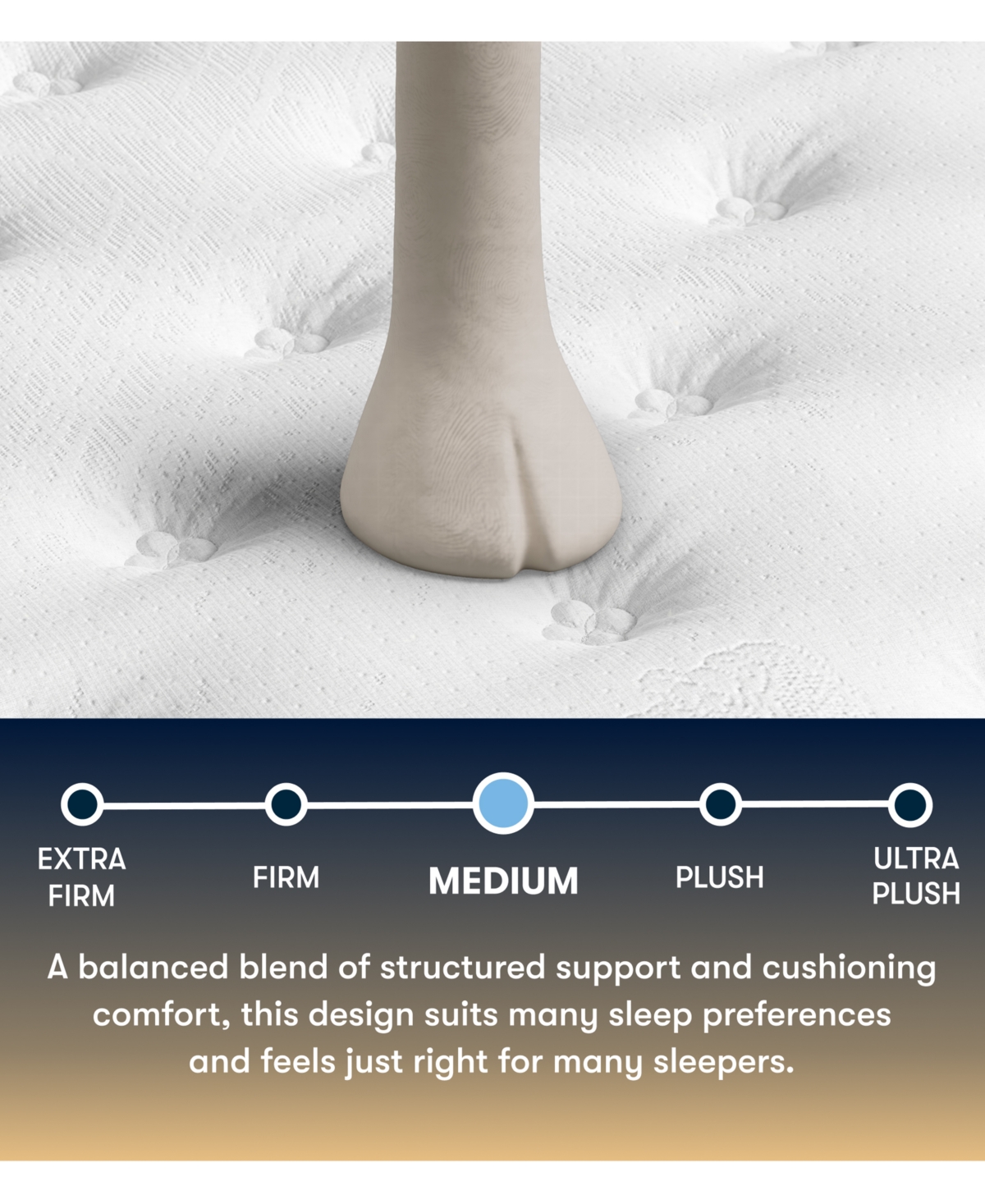 Serta Perfect Sleeper Cascade Canyon 13" Medium Tight Top Mattress