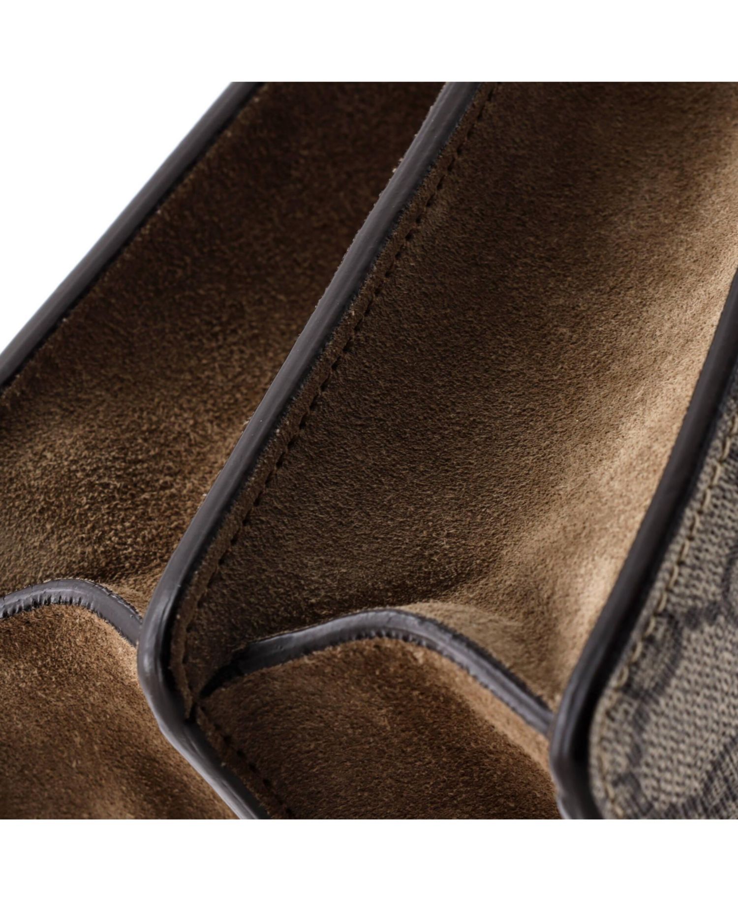 Medium Dionysus Bag GG Coated Canvas