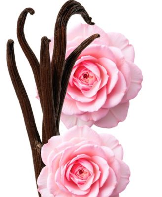 4-Pc. Delina Exclusif Parfum Gift Set