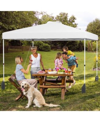 10 X 10 FT Pop up Canopy Tent w/ 1 Sidewall Wheeled Bag 8 Stakes