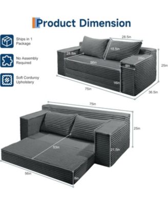 75" Convertible Sofa Bed, Boneless Futon Couch with 2 Pillows, Pull-Out Loveseat Sleeper, No Assembly