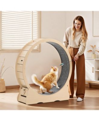 48" Wooden Cat Exercise Wheel with Carpeted Runway and Locking Mechanism
