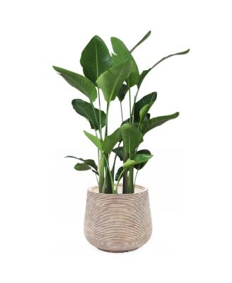 LuxenHome Distressed Tan MgO Tapered Round Planter