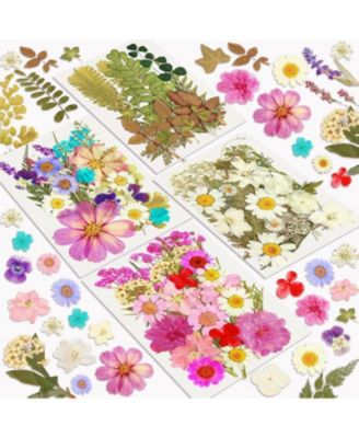 100pcs Dried Flowers Pressed Leaves Craft Kit DIY Soap Candle Scrapbook Card Making Supplies