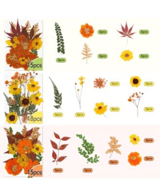 100+ Real Dried Pressed Flowers Leaves Florals Tweezer Candle Scrapbooking Thanksgiving Gift