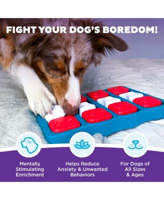 Paw N Play Interactive Dog Puzzle Level 2 Intermediate Enrichment Treat Feeder Slow Eating Mental Stimulation