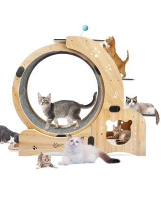 6-in-1 Cat Exercise Wheel Upgraded Large Treadmill with Silent Wheels Indoor Cat Furniture and Toys