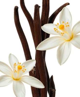 Althaïr&nbsp;Scented Refill for Home Diffuser, 4 oz.