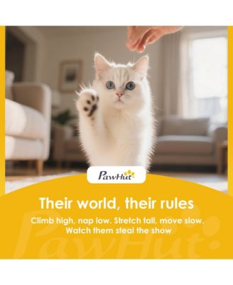 Cat Litter Box with Lid, Enclosed Litter Box for Medium Cats